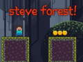 খেলা Steve Forest