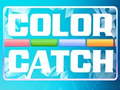 খেলা Color Catch