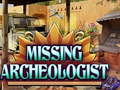 খেলা Missing Archeologist