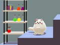 খেলা Schrödinger’s Dual Cat