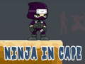 খেলা Ninja in Cape