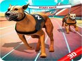 খেলা Crazy Dog Race