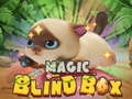খেলা Magic Blind Box