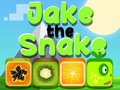 খেলা Jake The Snake