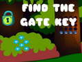 খেলা Find the Gate Key