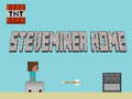 খেলা Steveminer Home