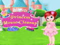 খেলা Princess House Cleanup