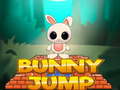 খেলা Bunny Jump