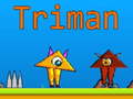 খেলা Triman