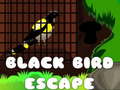 খেলা Black Bird Escape