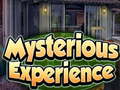 খেলা Mysterious Experience