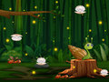 খেলা Snail Run