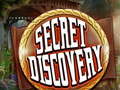 খেলা Secret Discovery