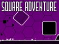 খেলা Square Adventure