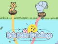 খেলা Brain Master IQ Challenge