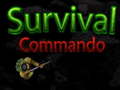 খেলা Survival Commando