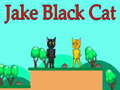 খেলা Jake Black Cat