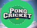 খেলা Pong Cricket