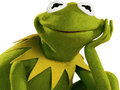 খেলা Coloring Book For Kermit the Frog 