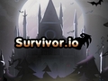 খেলা Survivor.io