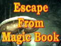 খেলা Escape From Magic Book