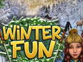 খেলা Winter Fun