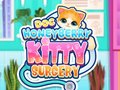 খেলা Doc HoneyBerry Kitty Surgery