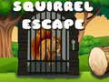 খেলা Squirrel Escape
