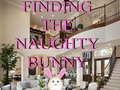 খেলা Finding The Naughty Bunny