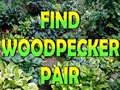 খেলা Find Woodpecker Pair 