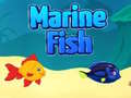 খেলা Marine Fish