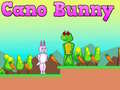 খেলা Cano Bunny