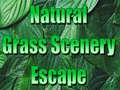 খেলা Natural Grass Scenery Escape