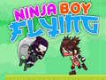 খেলা Ninja Boy Flying