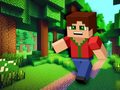 খেলা Minicraft