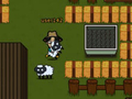 খেলা Sheep13