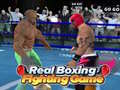 খেলা Real Boxing Fighting Game