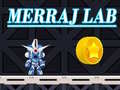 খেলা Merraj Lab