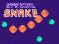 খেলা Spacial Snake
