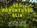 খেলা Les Adventures Blin