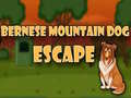 খেলা Bernese Mountain Dog Escape
