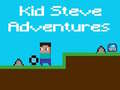 খেলা Kid Steve Adventures