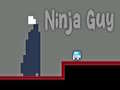 খেলা Ninja Guy