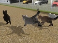 খেলা Run Cat Cat Race