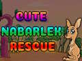 খেলা Cute Nabarlek Rescue