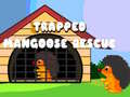 খেলা Trapped Mangoose Rescue
