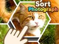 খেলা Sort Photograph