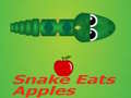 খেলা Snake Eats Apple