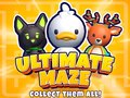 খেলা Ultimate Maze! Collect Them All!
