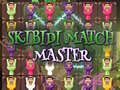 খেলা Skibidi Match Master